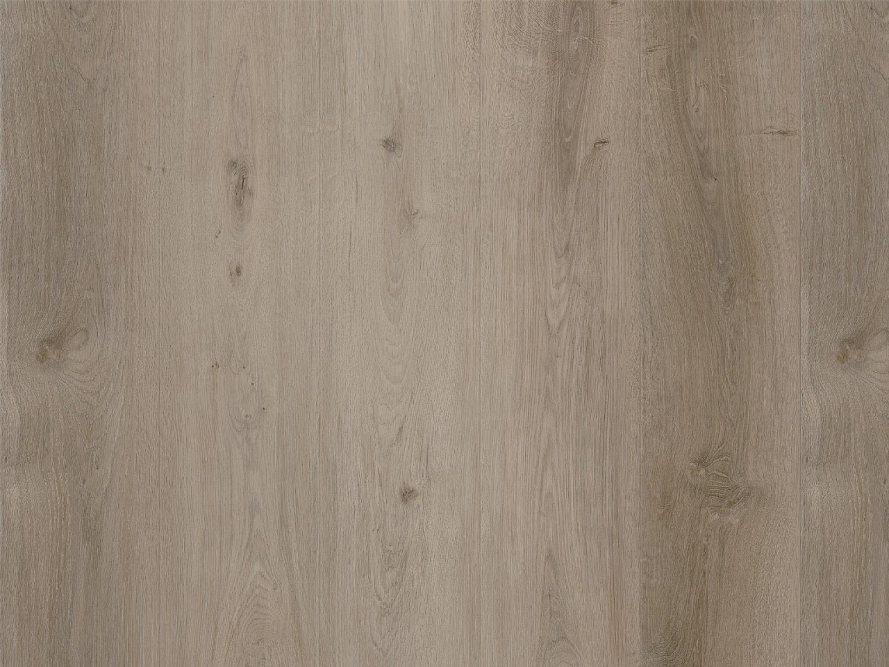 Designbelag Beluga new wood zum Kleben – Richmond Oak, BEL106