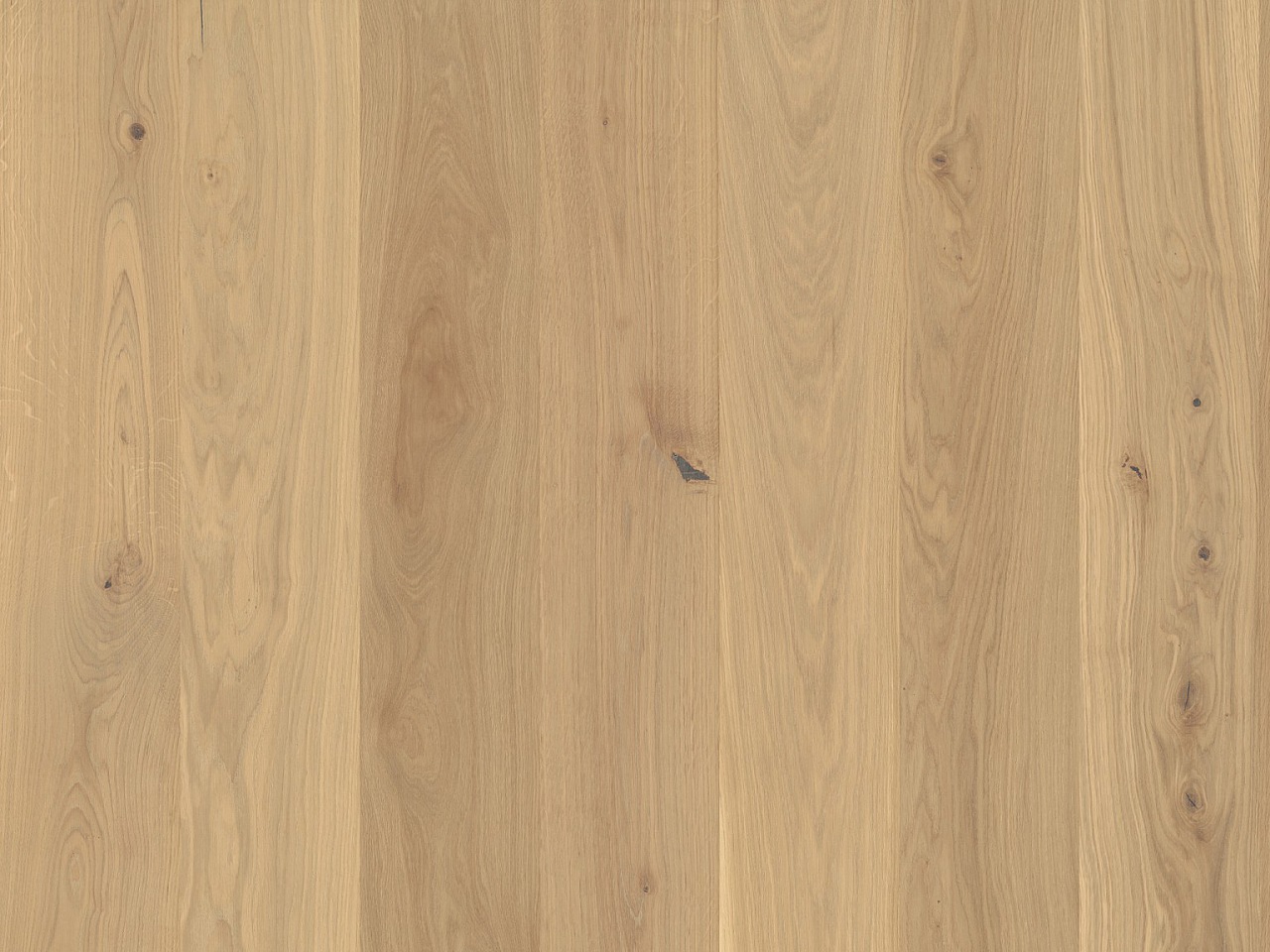 Designbelag Rico wood – Eiche Almere, 328006