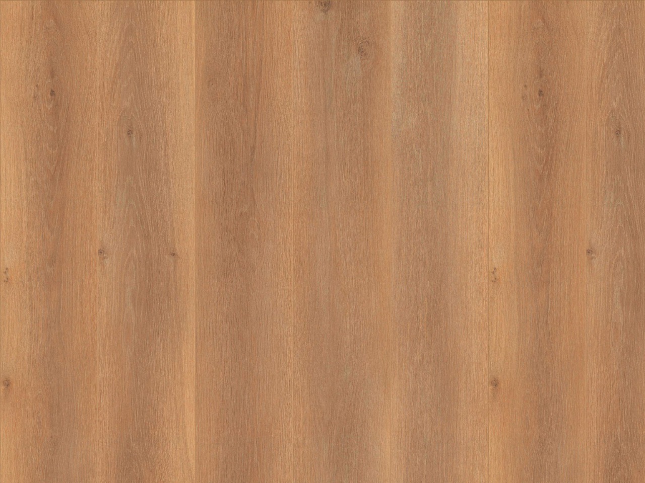 Laminatboden Oak Gallery Format M – Calm Oak brown, MV4166