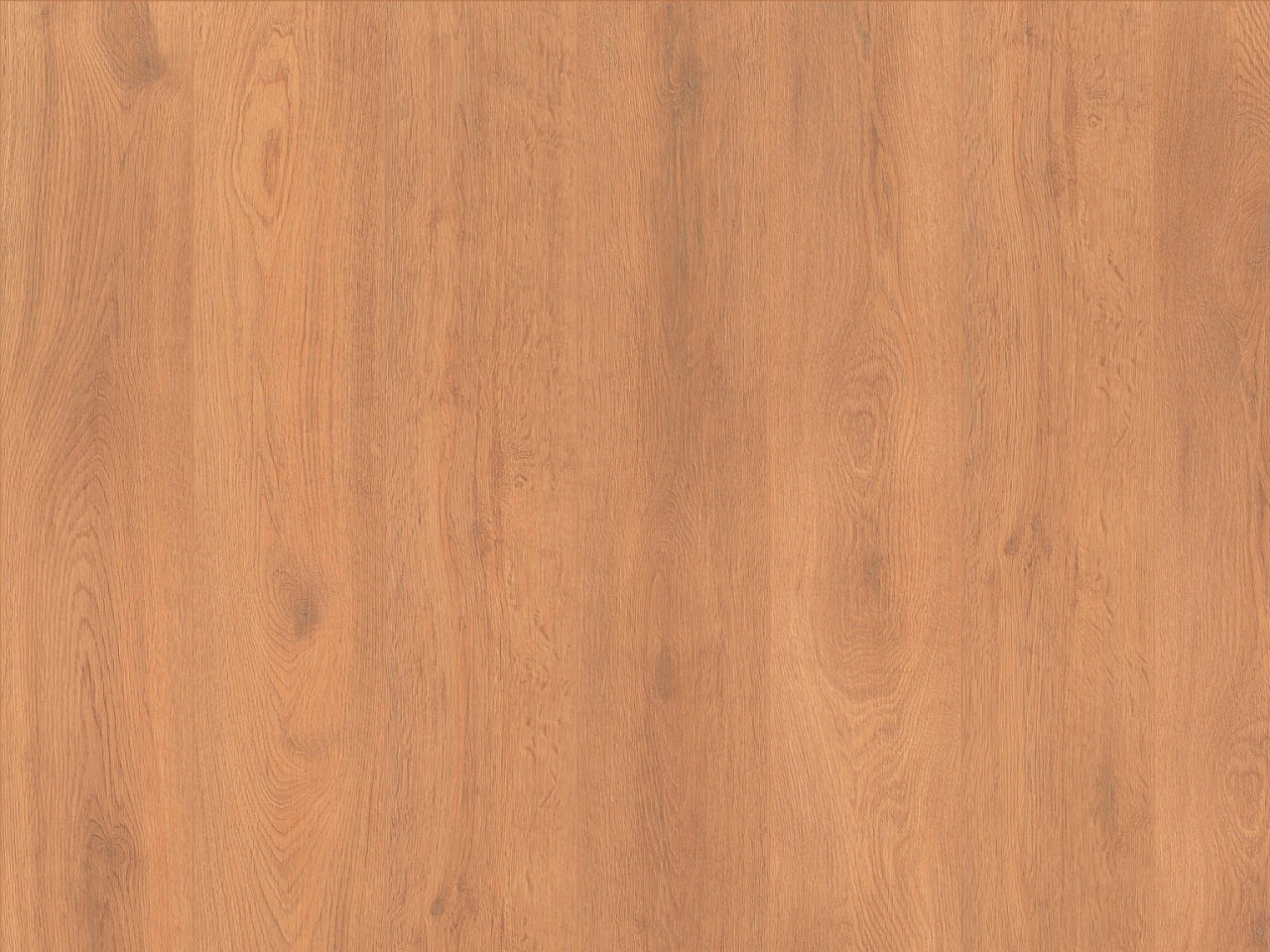 Laminatboden Oak Gallery Format M – Glossy Oak Brown, MV4181