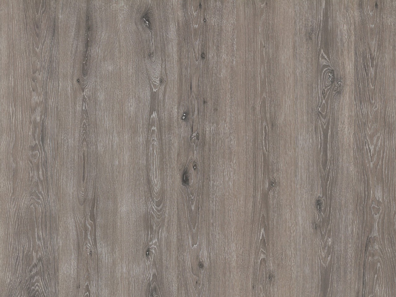 Kork Amora Wood – Dinora Oak kurz, 8G4002
